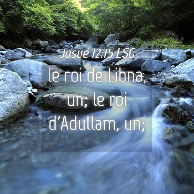 Picture 04 - Josué 12:15 LSG - le roi de Libna, un; le roi d'Adullam, - Bible Verse Picture