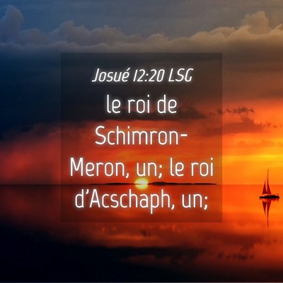 Picture 04 - Josué 12:20 LSG - le roi de Schimron-Meron, un; le roi d'Acschaph, - Bible Verse Picture