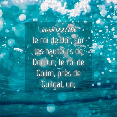 Picture 04 - Josué 12:23 LSG - le roi de Dor, sur les hauteurs de Dor, un; le - Bible Verse Picture