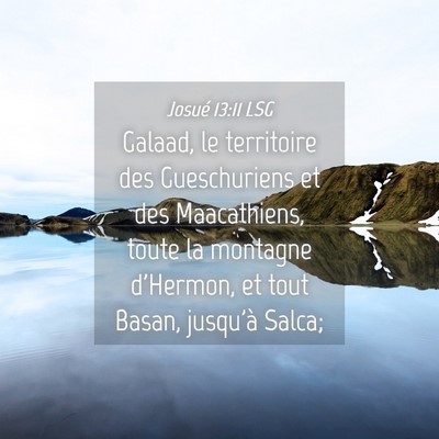 Picture 04 - Josué 13:11 LSG - Galaad, le territoire des Gueschuriens et des - Bible Verse Picture