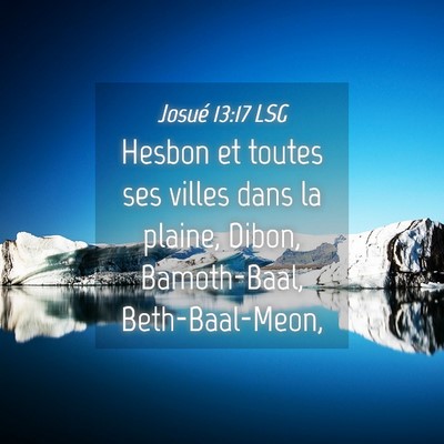Picture 04 - Josué 13:17 LSG - Hesbon et toutes ses villes dans la plaine, - Bible Verse Picture