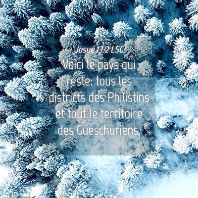 Picture 04 - Josué 13:2 LSG - Voici le pays qui reste: tous les districts des - Bible Verse Picture