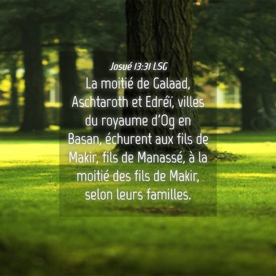 Picture 04 - Josué 13:31 LSG - La moitié de Galaad, Aschtaroth et Edréï, - Bible Verse Picture