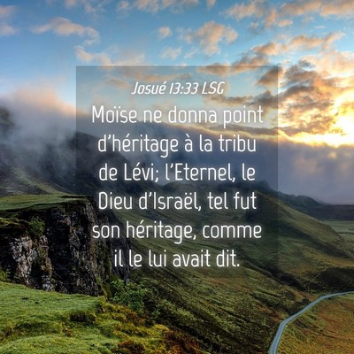 Picture 04 - Josué 13:33 LSG - Moïse ne donna point d'héritage à la tribu de - Bible Verse Picture