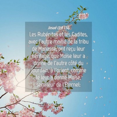 Picture 04 - Josué 13:8 LSG - Les Rubénites et les Gadites, avec l'autre - Bible Verse Picture
