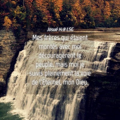 Picture 04 - Josué 14:8 LSG - Mes frères qui étaient montés avec moi - Bible Verse Picture