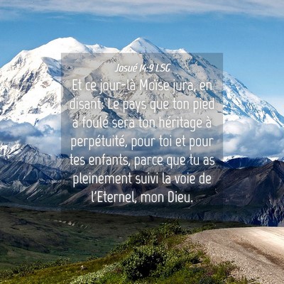 Picture 04 - Josué 14:9 LSG - Et ce jour-là Moïse jura, en disant: Le pays - Bible Verse Picture