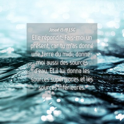 Picture 04 - Josué 15:19 LSG - Elle répondit: Fais-moi un présent, car tu m'as - Bible Verse Picture