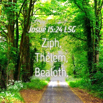 Picture 04 - Josué 15:24 LSG - Ziph, Thélem, - Bible Verse Picture