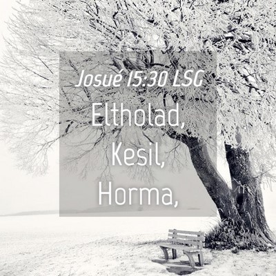Picture 04 - Josué 15:30 LSG - Eltholad, Kesil, - Bible Verse Picture