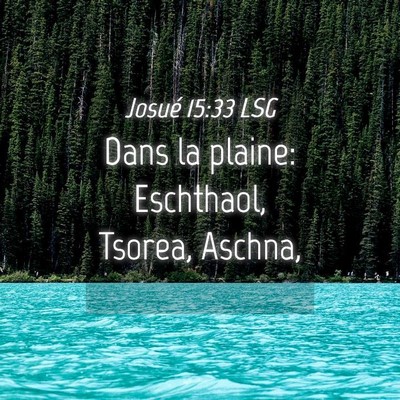 Picture 04 - Josué 15:33 LSG - Dans la plaine: Eschthaol, Tsorea, - Bible Verse Picture