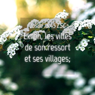 Picture 04 - Josué 15:45 LSG - Ekron, les villes de son ressort et ses - Bible Verse Picture