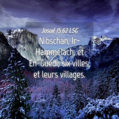 Picture 04 - Josué 15:62 LSG - Nibschan, Ir-Hammélach, et En-Guédi; six - Bible Verse Picture