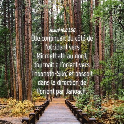 Picture 04 - Josué 16:6 LSG - Elle continuait du côté de l'occident vers - Bible Verse Picture