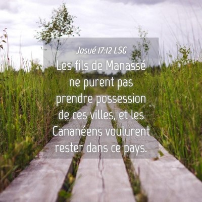 Picture 04 - Josué 17:12 LSG - Les fils de Manassé ne purent pas prendre - Bible Verse Picture