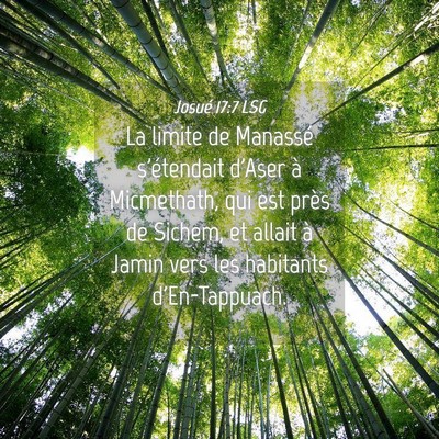 Picture 04 - Josué 17:7 LSG - La limite de Manassé s'étendait d'Aser à - Bible Verse Picture