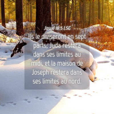 Picture 04 - Josué 18:5 LSG - Ils le diviseront en sept parts; Juda restera - Bible Verse Picture