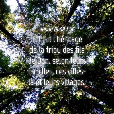 Picture 04 - Josué 19:48 LSG - Tel fut l'héritage de la tribu des fils de Dan, - Bible Verse Picture