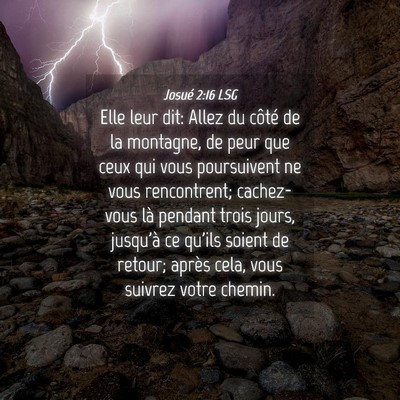 Picture 04 - Josué 2:16 LSG - Elle leur dit: Allez du côté de la montagne, de - Bible Verse Picture