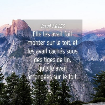 Picture 04 - Josué 2:6 LSG - Elle les avait fait monter sur le toit, et les - Bible Verse Picture