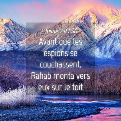Picture 04 - Josué 2:8 LSG - Avant que les espions se couchassent, Rahab monta - Bible Verse Picture