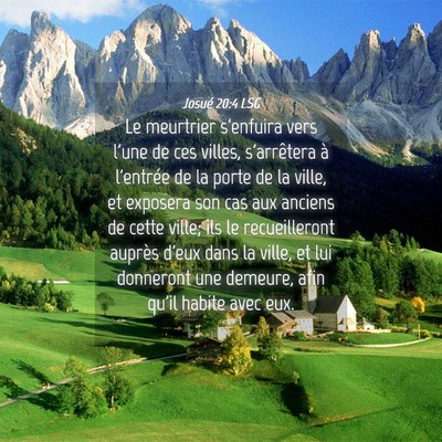 Picture 04 - Josué 20:4 LSG - Le meurtrier s'enfuira vers l'une de ces villes, - Bible Verse Picture