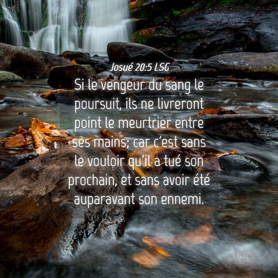 Picture 04 - Josué 20:5 LSG - Si le vengeur du sang le poursuit, ils ne - Bible Verse Picture