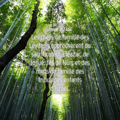 Picture 04 - Josué 21:1 LSG - Les chefs de famille des Lévites s'approchèrent - Bible Verse Picture