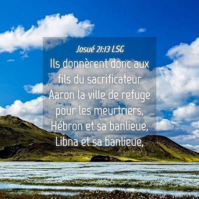 Picture 04 - Josué 21:13 LSG - Ils donnèrent donc aux fils du sacrificateur - Bible Verse Picture