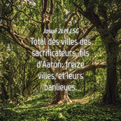 Picture 04 - Josué 21:19 LSG - Total des villes des sacrificateurs, fils - Bible Verse Picture
