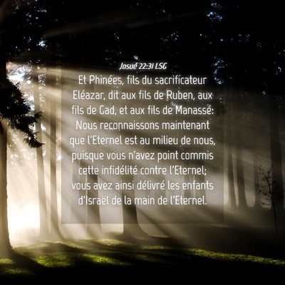 Picture 04 - Josué 22:31 LSG - Et Phinées, fils du sacrificateur Eléazar, dit - Bible Verse Picture