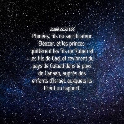 Picture 04 - Josué 22:32 LSG - Phinées, fils du sacrificateur Eléazar, et les - Bible Verse Picture