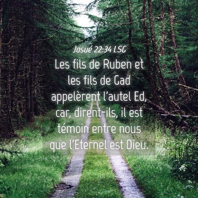 Picture 04 - Josué 22:34 LSG - Les fils de Ruben et les fils de Gad appelèrent - Bible Verse Picture