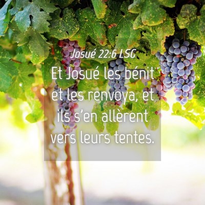 Picture 04 - Josué 22:6 LSG - Et Josué les bénit et les renvoya, et ils s'en - Bible Verse Picture