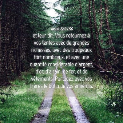 Picture 04 - Josué 22:8 LSG - et leur dit: Vous retournez à vos tentes avec de - Bible Verse Picture