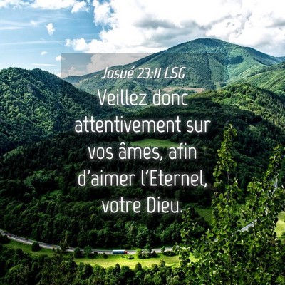 Picture 04 - Josué 23:11 LSG - Veillez donc attentivement sur vos âmes, afin - Bible Verse Picture