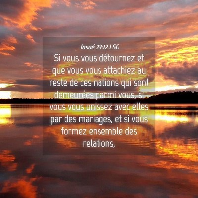 Picture 04 - Josué 23:12 LSG - Si vous vous détournez et que vous vous - Bible Verse Picture