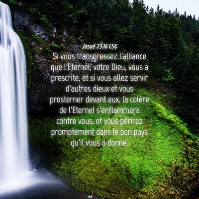 Picture 04 - Josué 23:16 LSG - Si vous transgressez l'alliance que l'Eternel, - Bible Verse Picture