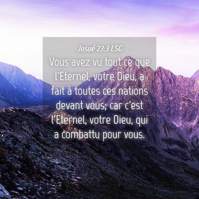 Picture 04 - Josué 23:3 LSG - Vous avez vu tout ce que l'Eternel, votre Dieu, a - Bible Verse Picture
