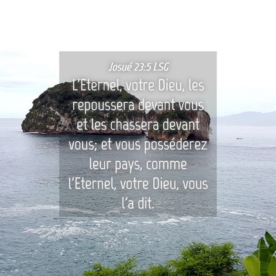 Picture 04 - Josué 23:5 LSG - L'Eternel, votre Dieu, les repoussera devant vous - Bible Verse Picture