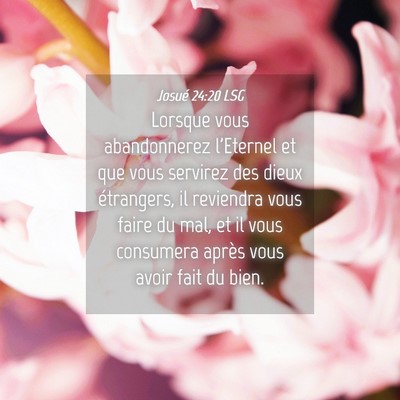 Picture 04 - Josué 24:20 LSG - Lorsque vous abandonnerez l'Eternel et que vous - Bible Verse Picture