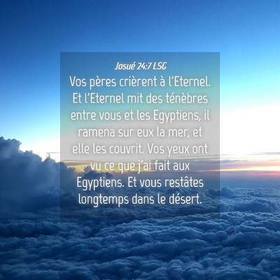 Picture 04 - Josué 24:7 LSG - Vos pères crièrent à l'Eternel. Et l'Eternel - Bible Verse Picture