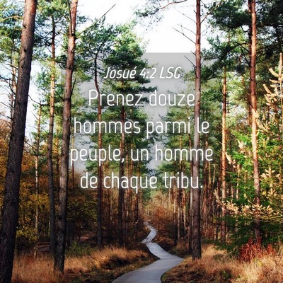 Picture 04 - Josué 4:2 LSG - Prenez douze hommes parmi le peuple, un homme de - Bible Verse Picture