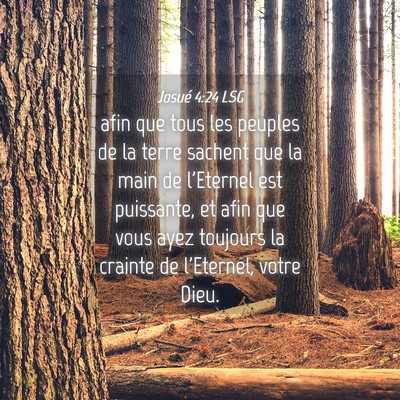 Picture 04 - Josué 4:24 LSG - afin que tous les peuples de la terre sachent que - Bible Verse Picture
