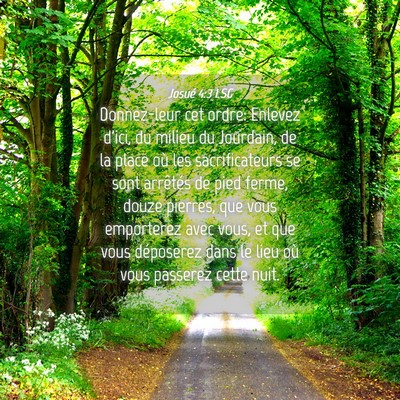 Picture 04 - Josué 4:3 LSG - Donnez-leur cet ordre: Enlevez d'ici, du milieu - Bible Verse Picture