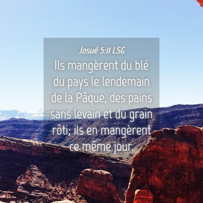 Picture 04 - Josué 5:11 LSG - Ils mangèrent du blé du pays le lendemain de la - Bible Verse Picture
