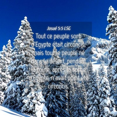 Picture 04 - Josué 5:5 LSG - Tout ce peuple sorti d'Egypte était circoncis; - Bible Verse Picture