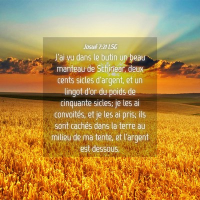 Picture 04 - Josué 7:21 LSG - J'ai vu dans le butin un beau manteau de - Bible Verse Picture