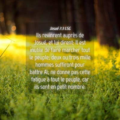 Picture 04 - Josué 7:3 LSG - Ils revinrent auprès de Josué, et lui dirent: - Bible Verse Picture