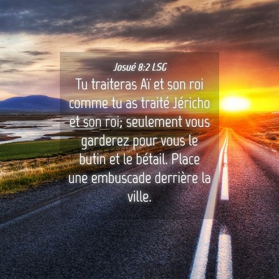 Picture 04 - Josué 8:2 LSG - Tu traiteras Aï et son roi comme tu as traité - Bible Verse Picture